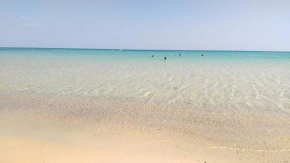 Le lagon de Hammamet